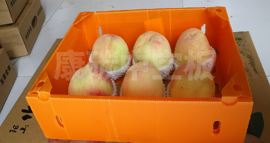 1702432399687770.jpg 6.jpg